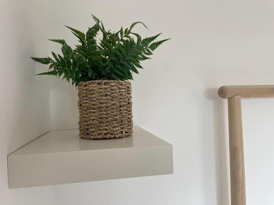 Stunning, Modern And Spacious House - トルーロー エクステリア 写真